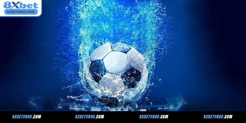 Cá cược bóng đá 8XBET